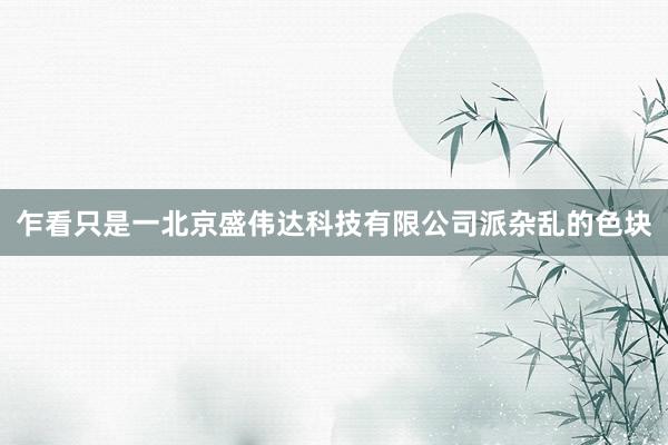 乍看只是一北京盛伟达科技有限公司派杂乱的色块